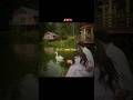 Ek Hi Janam Me De Di Sari Khushiyan Love Status Status Lyricsstatu Love Shorts Lovesong
