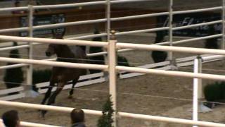 Video von Gfe Jilbert van't Ruytershof