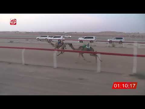 ش 1 (الشاهينيه) لـ سالم بن حمد سالم الكتبي 3:08 ، شارة صندوق الحلفه 2026/07/26 فطامين الجبيب