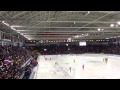 Швеция—Россия 3-5 (Финал ЧМ по хоккею с мячом 2015) 