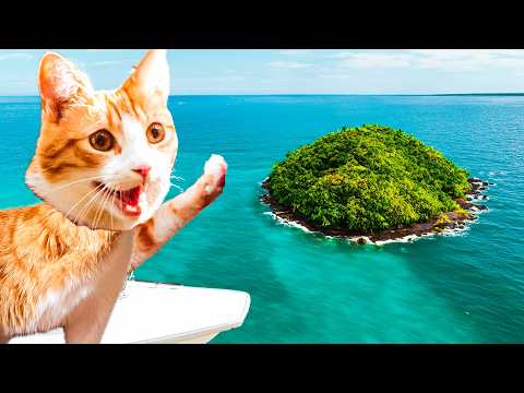 CAT Discovers an ISLAND ( By Boat )