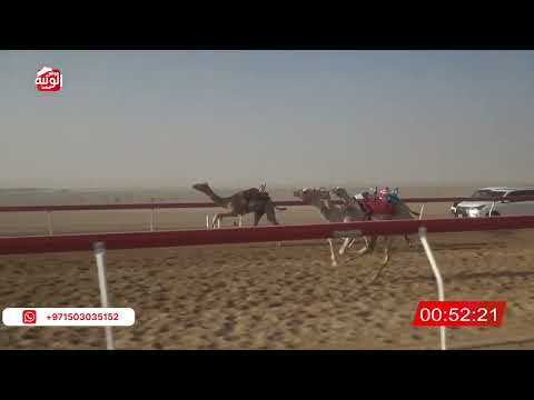  ش 26 (شاهين) لـ نايل مفتاح بن علي الشامسي 2:11 ، شارة الصندوق 2026/05/30 فطامين الروضة