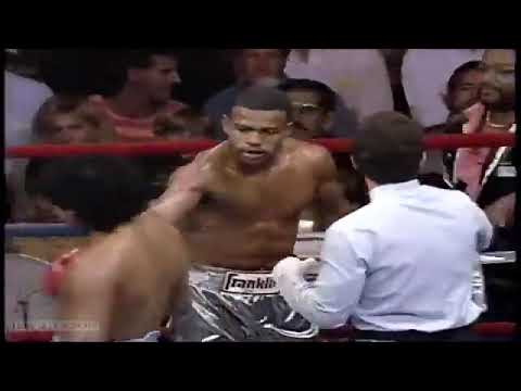 Roy Jones Jr Vs Jorge Fernando Castro Boxing Fight