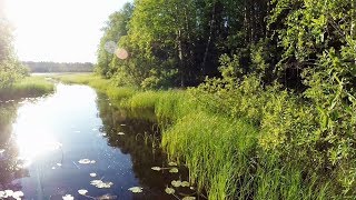 Вип рыбалка в карелии на берегу озера