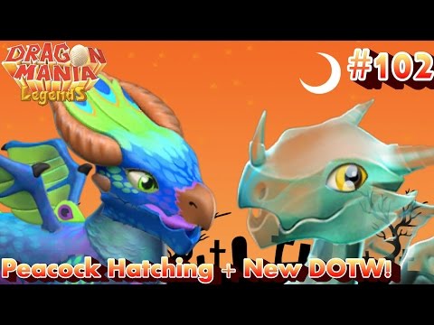 Peacock Dragon Hatching + Ghost Dragon DOTW! - Dragon Mania Legends #102
