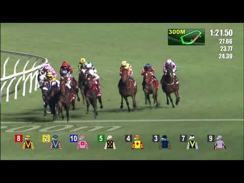 17/11/2021 (184) Sunny Star - A Badel