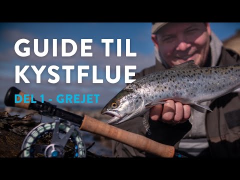 Guide til kystfiskeri efter havørred på flue: Del 1 –