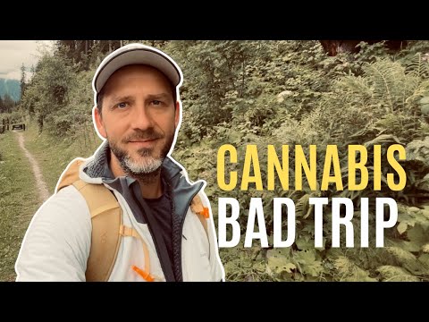 Das unterschätzte Risiko für Panikattacken und Derealisation!