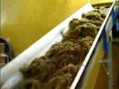 Robofeed Cattle Feeding System