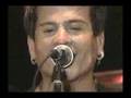 Mitch Allan - Mosquito 