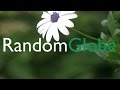 Parov Stelar ft. Graham Candy - The Sun (LCAW ...