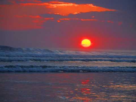 Y.O.M.C - Great Feelings