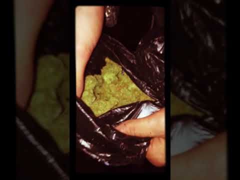 Dealer wird festgenommen in Wien /Marihuana/2.12.2019 /Polizei /Anzeige / Verfolgungjagd /