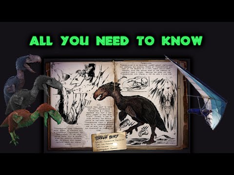 TERROR BIRD Full Guide! (Glider Bird)