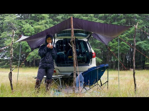 A Heavy Rain Cozy Car Camp, Complete with Unexpected Drama