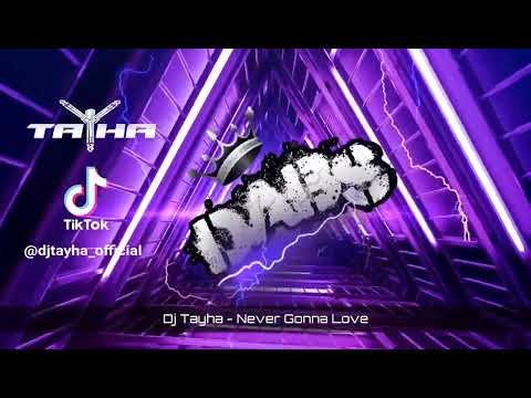 DJ Tayha - Never Gonna Love