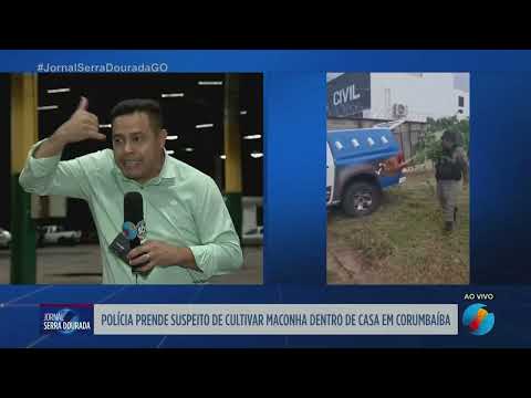 Homem é preso suspeito de cultivar maconha dentro de casa em Corumbaíba