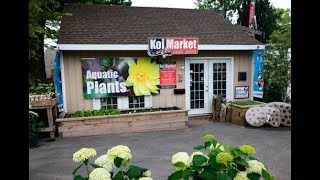 Koi Market Aquatic Gardens located at Main Street Nursery in Huntingto