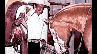 El Alazán  y El Rosillo  🐎 Vicente Fernández