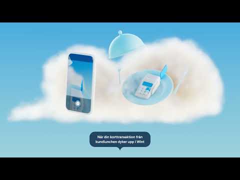 Wint - video