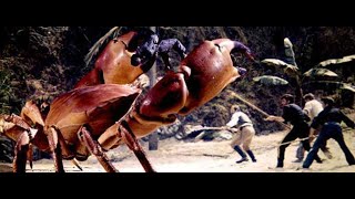 Download lagu Mysterious Island (1961) Michael Craig.Joan Greenwood.Herbert Lom.Joan Greenwood.Beth Rogan.WARPITER mp3