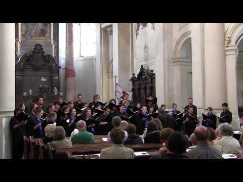 Butterfly- Mia Makaroff