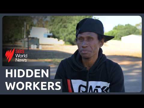 The 'ghost workforce' feeding Australia: migrant workers speak out