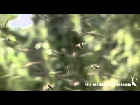 DER IMKER - FFDL 2013