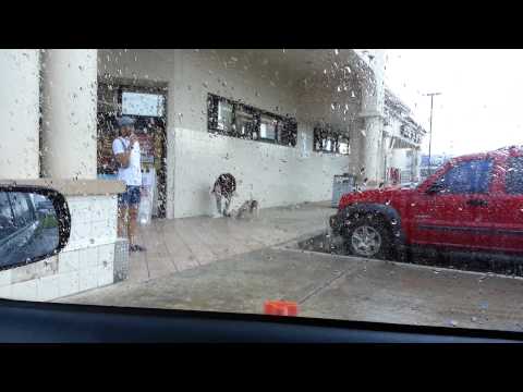 Nancy dandole comida a un pitbull en wallgreens