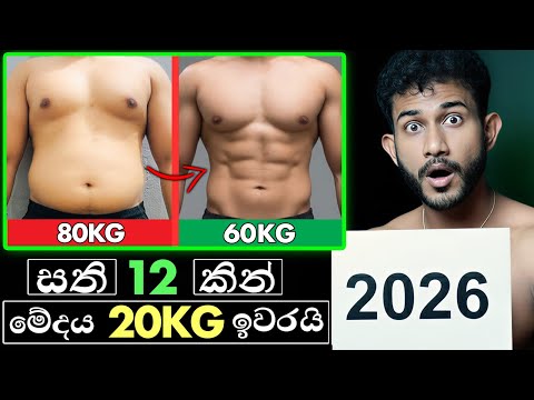 බඩේ මේදය නැති කරන 2026 ජීවිතය වෙනස් කරන විද්‍යාත්මක Fat Loss Short Film එක!