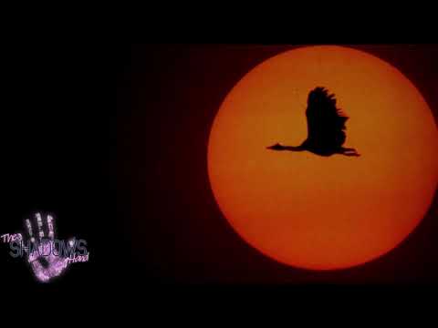 Peter Zimmermann & Satori In Bed - Something You Gonna Love (Feat.  Rebecca)