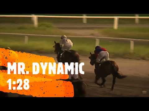 MR DYNAMIC RACE DECEMBER 27 2022 - o p cortez