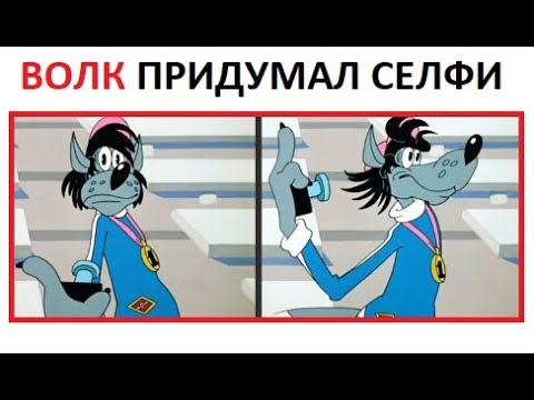 Лютые приколы. ВОЛК делает СЕЛФИ