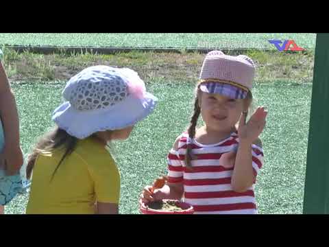 Выпуск программы "День" от 7 июля 2020 г.