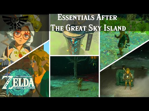 Essentials After The Great Sky Island Quick Guide | Zelda, Tears of the Kingdom