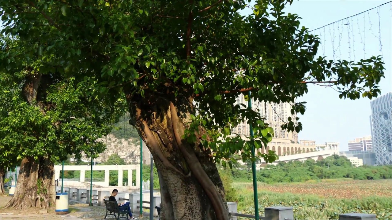 Walk through the Museum of Taipa and Coloane History in Macau