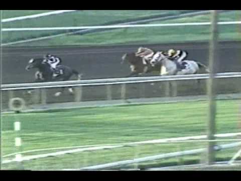 Spectacular Bid - 1980 San Fernando Stakes
