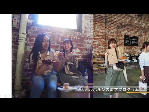 法律学科 明治学院大学法学部グローバル法学科バーチャル相談会　留学編第２部