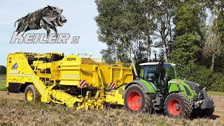 ROPA Keiler Burgonyakombájn