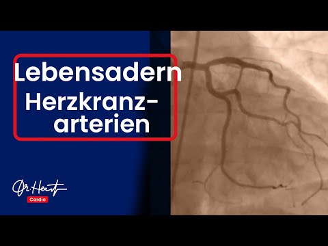 Die setzen auf Insulin Insulin Vasokonstriktion