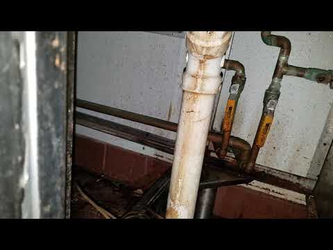 Leaky Faucet Hidden Fruit Flies in Farmingdale, NJ