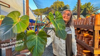 Stunning Plant Finds at This Nursery!
