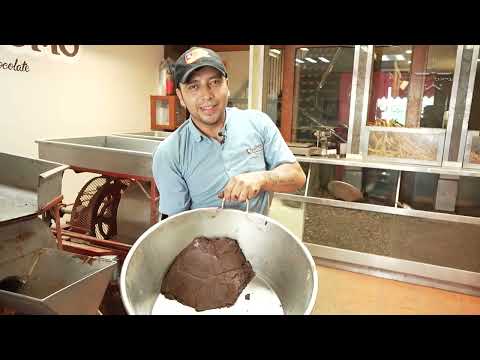 Programa André Show - 18/11/2023 - Fábrica de chocolates no México | Coluna do Dr. Elton Andrade