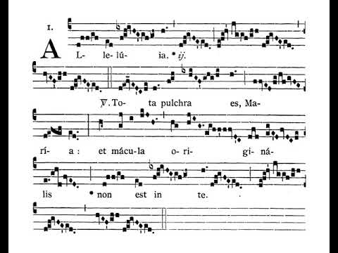 Choir of St Peter’s Eastern Hill: Alleluia: Tota pulchra es, Maria