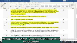 Excel_6E_Hospital_Auction