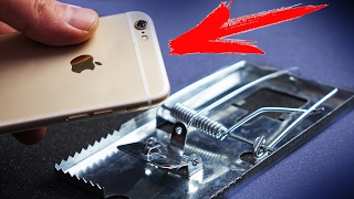 ЧТО ЕСЛИ iPhone 6s КИНУТЬ В МЫШЕЛОВКУ ?!