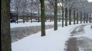 preview picture of video '2010 winter in Den Helder'