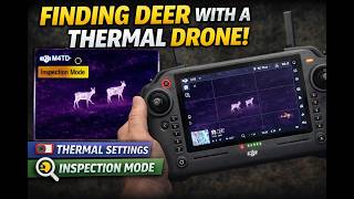 DJI M4TD Thermal Settings for Deer for Beginners