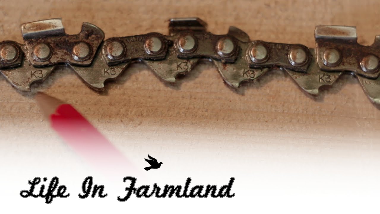 Figure out what size chain you need without stampings on the bar - Chainsaw Chains 101