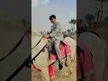 #horse ❤????????????#horses #haiderhaiderrecords #horselover #farming #pets #animals #youtubeshorts #shorts